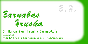 barnabas hruska business card